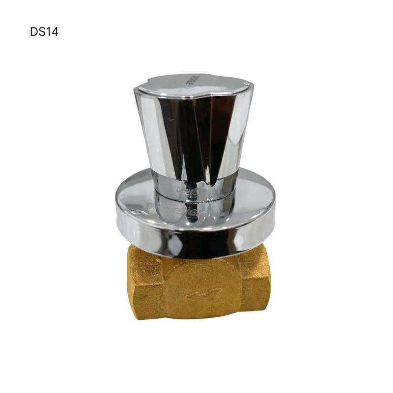 Concealed Valve 3/4 - DS14 (IP)