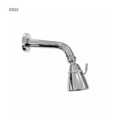 Head Shower - DS22 (IP)