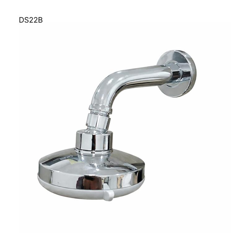 Head Shower - DS22B (IP)